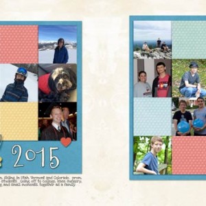 2015-In--Review-dbl-web