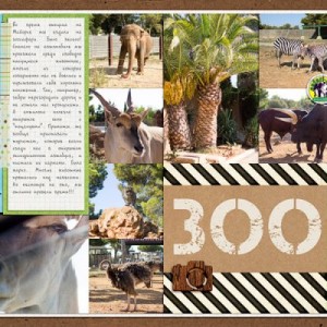Zoo Safari