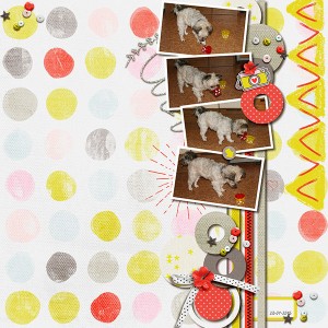Trickdog