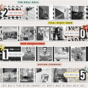 2015 In Review