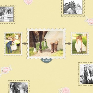Wedding Story