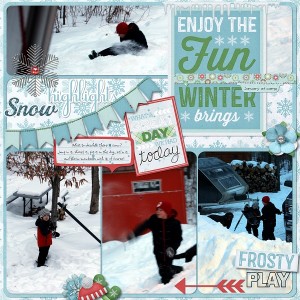 Snow Highlights