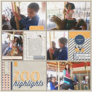 Zoo Carousel