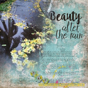 Tropt_MOC13_LBWfreespirit_PRlivelifejournaling