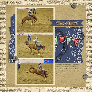 01.20.2016-rodeo