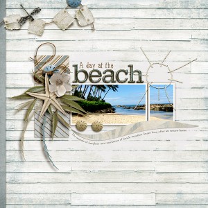 A Day At The Beach