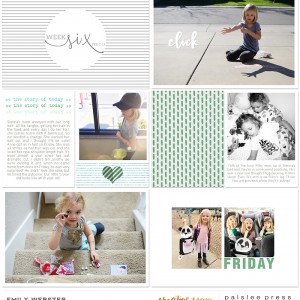 Paislee Press - Behind the Lens kit