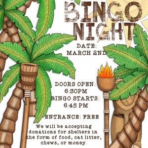 Bingo Night Announcement for my daughter's school