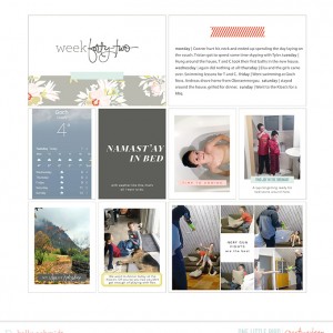2015 Project Life week 42
