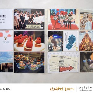 Paislee-brightideas-projectbyAmeliaNg