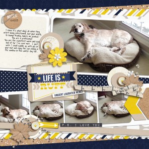 Life is Ruff