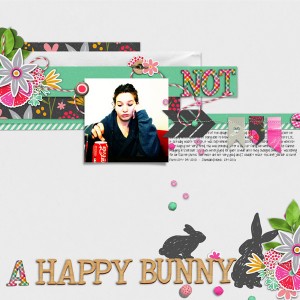 2010 {NOT} a Happy Bunny!