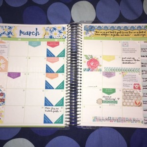 March 2016 Month View