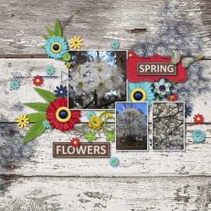 Photography Challenge March