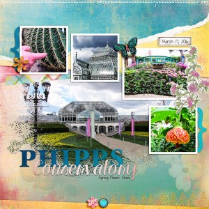 Spring Flower Show
