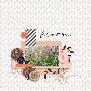 Spring Flowers (Custom)
