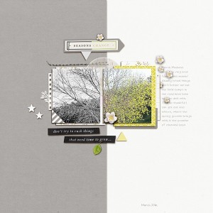 Seasons Change