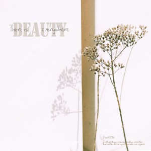 16-04 Beauty Everywhere