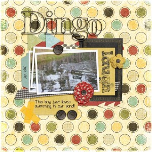 Dingo
