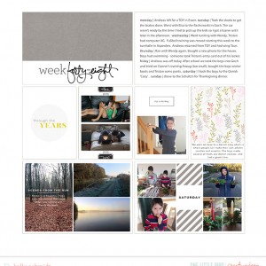 2015 Project Life week 48