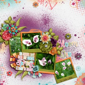 BloomAndGrow