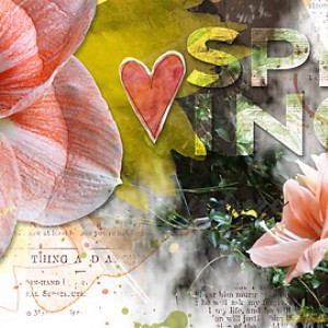 Spring FB Timeline