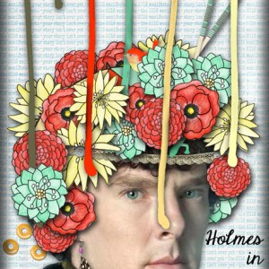 Holmes-in-Disguise