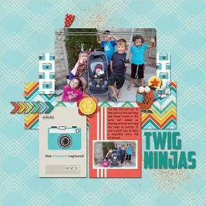 Twig Ninjas