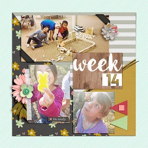 2016 Week 14 {right}