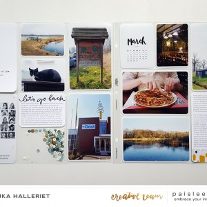 Paislee_JOIEDEVIVRE_projectbyAnnoesjka 01