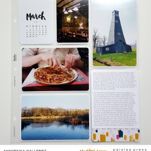 Paislee_JOIEDEVIVRE_projectbyAnnoesjka 02