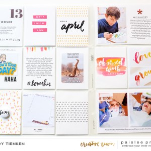 Project Life Week 13