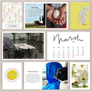 Week-12,-2016-right