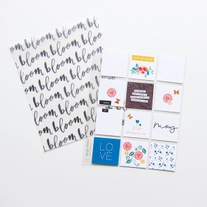 FF 04.22 MAY MPM
