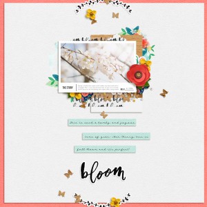 Bloom