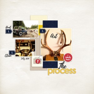 The Process