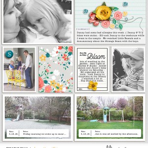 2016 week 15 - right side