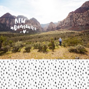 New Adventures