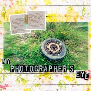 My photographer's eye