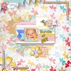Bundle of Joy