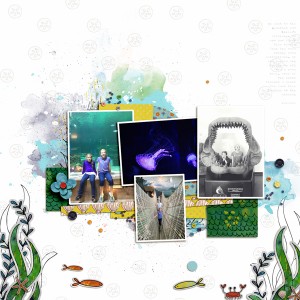 Aquarium