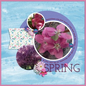 Spring_MIS05