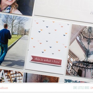 Biltmore Estate Visit | Details