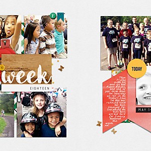 2016 Week 18