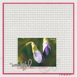 Wonderful spring