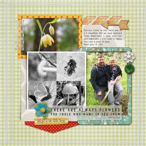 Stevens Creek County Park
