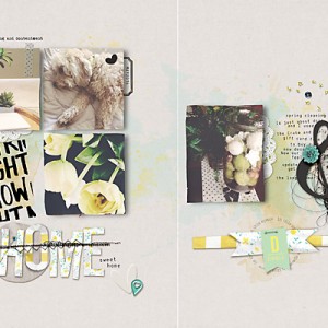 Right-now-may-copy
