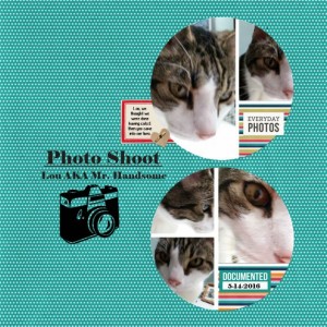 Photo Shoot