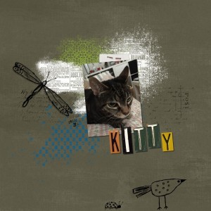Kitty
