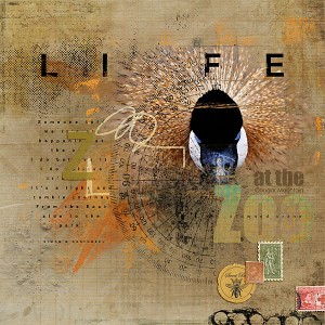 Life-at-the-Zoo-5-2015